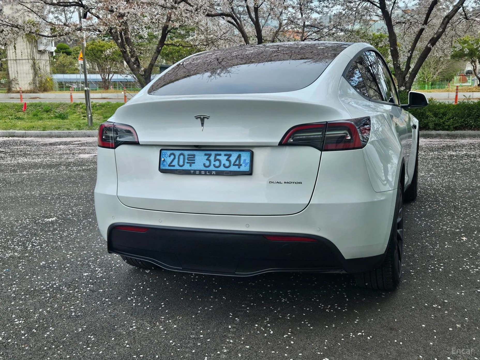 Model Y
