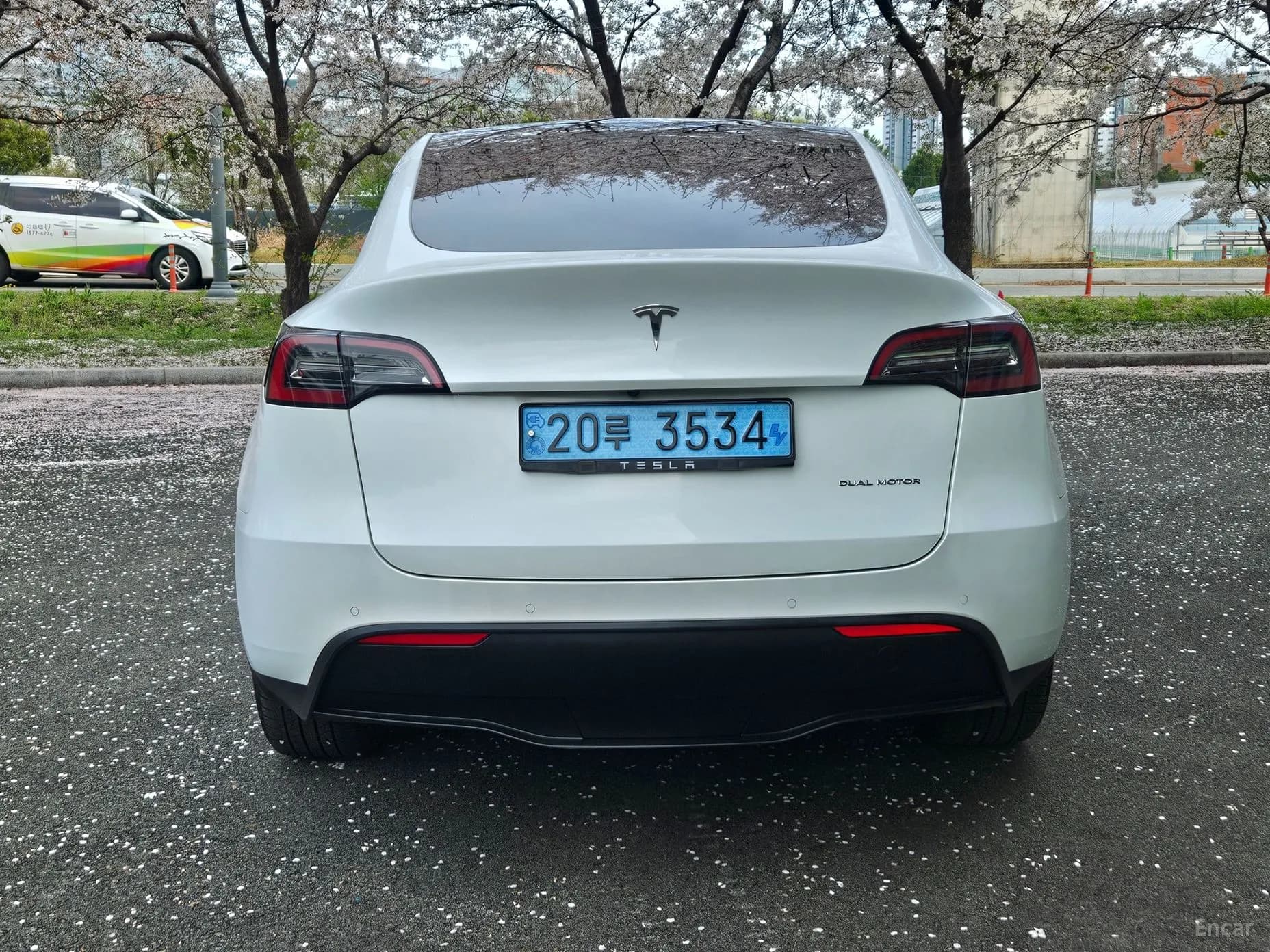 Model Y