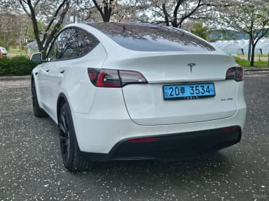 Model Y
