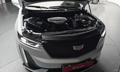 XT6