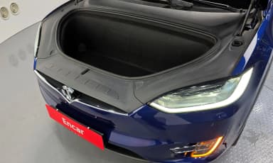 Model X