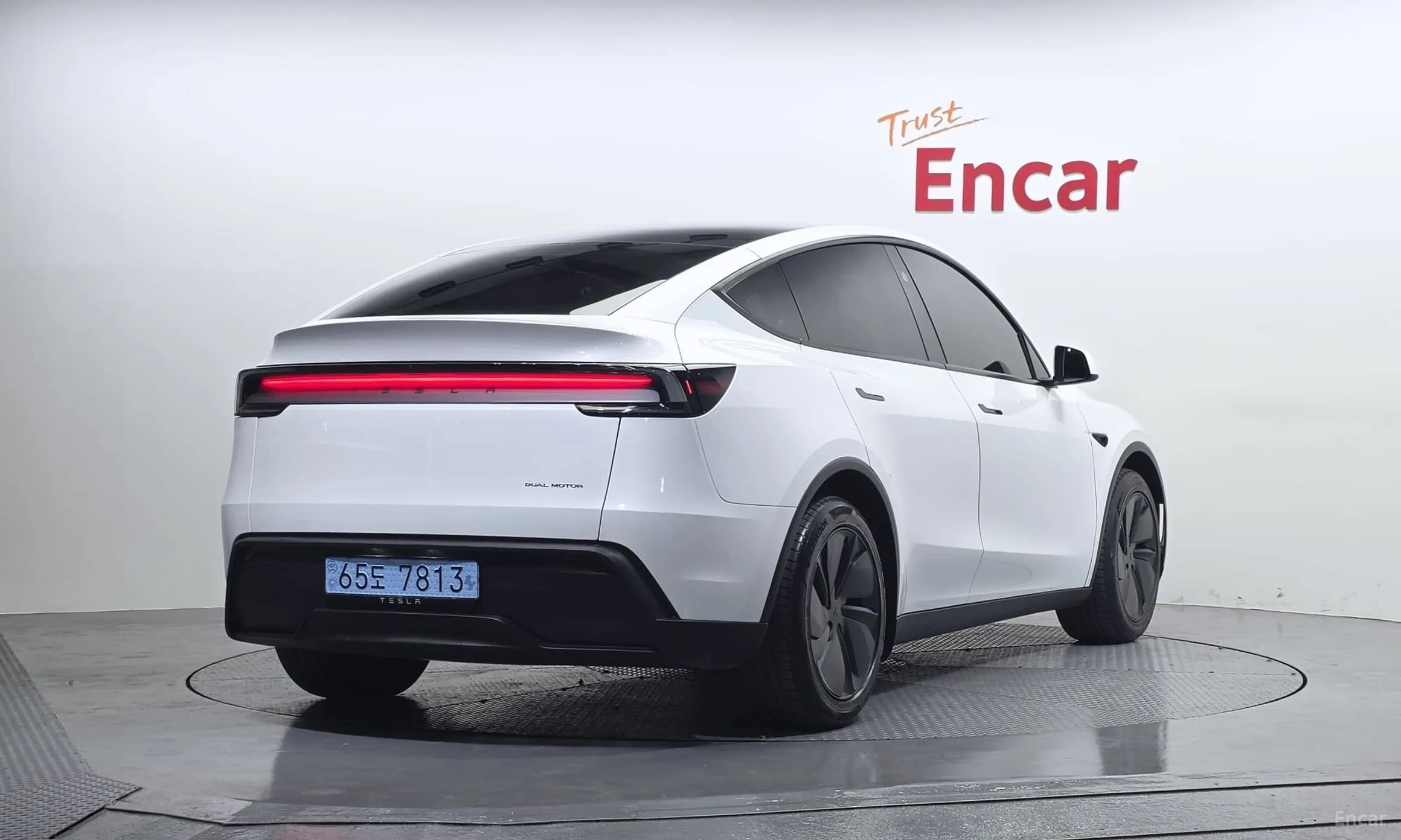 Model Y