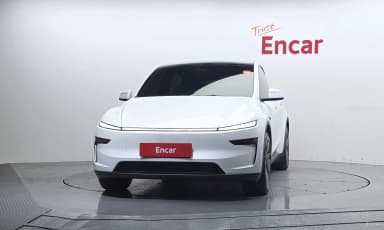 Model Y