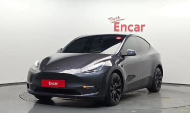 Model Y