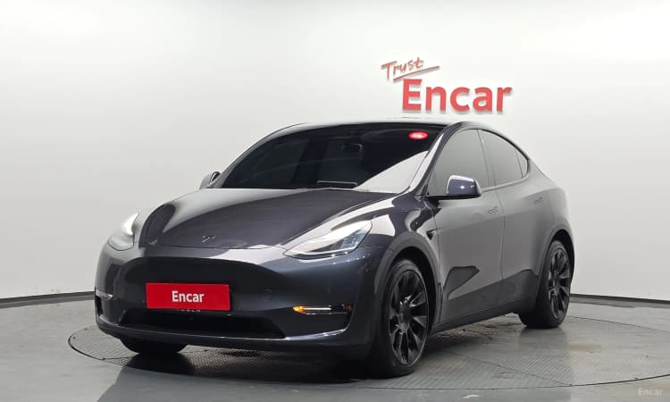 Model Y