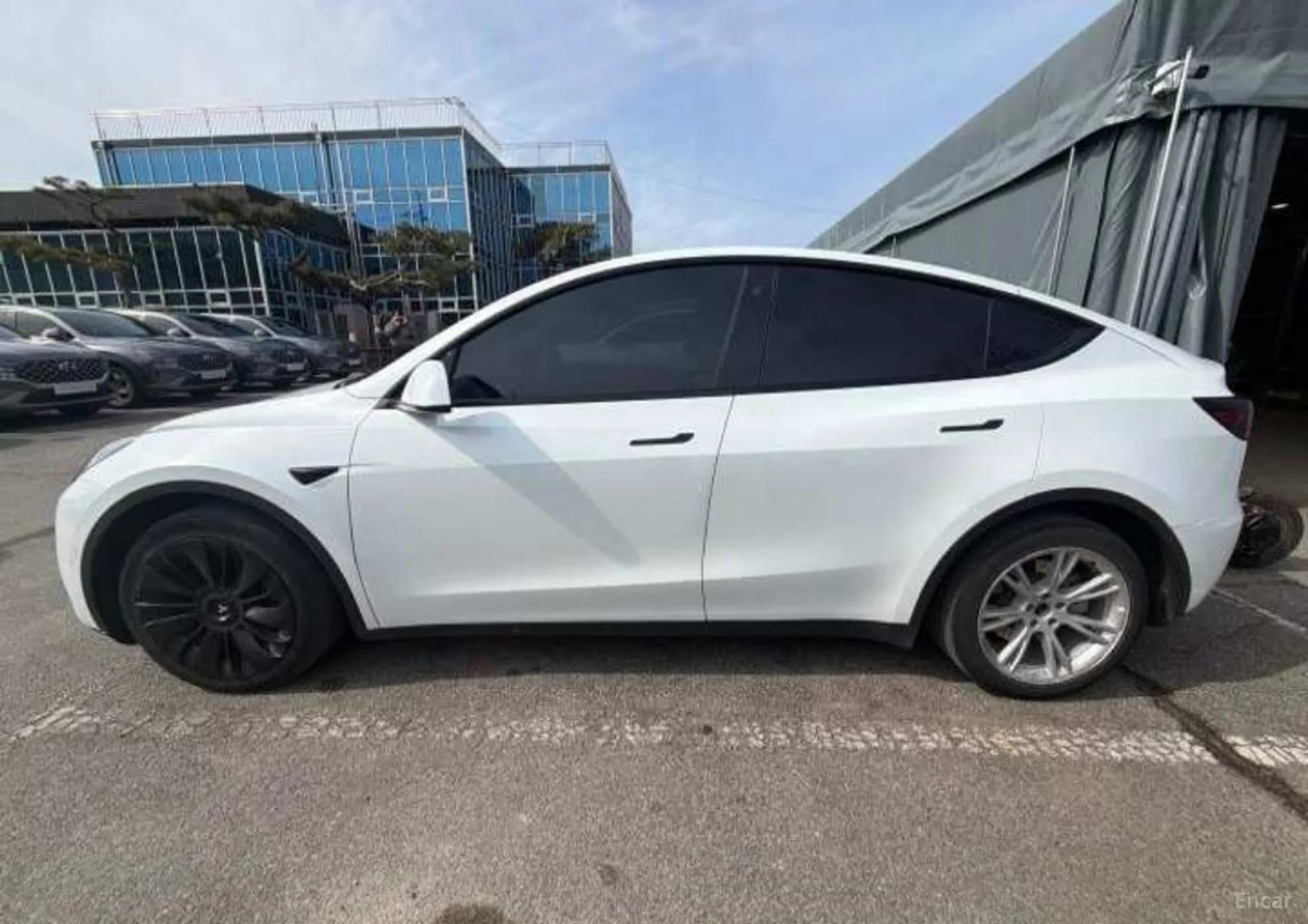Model Y