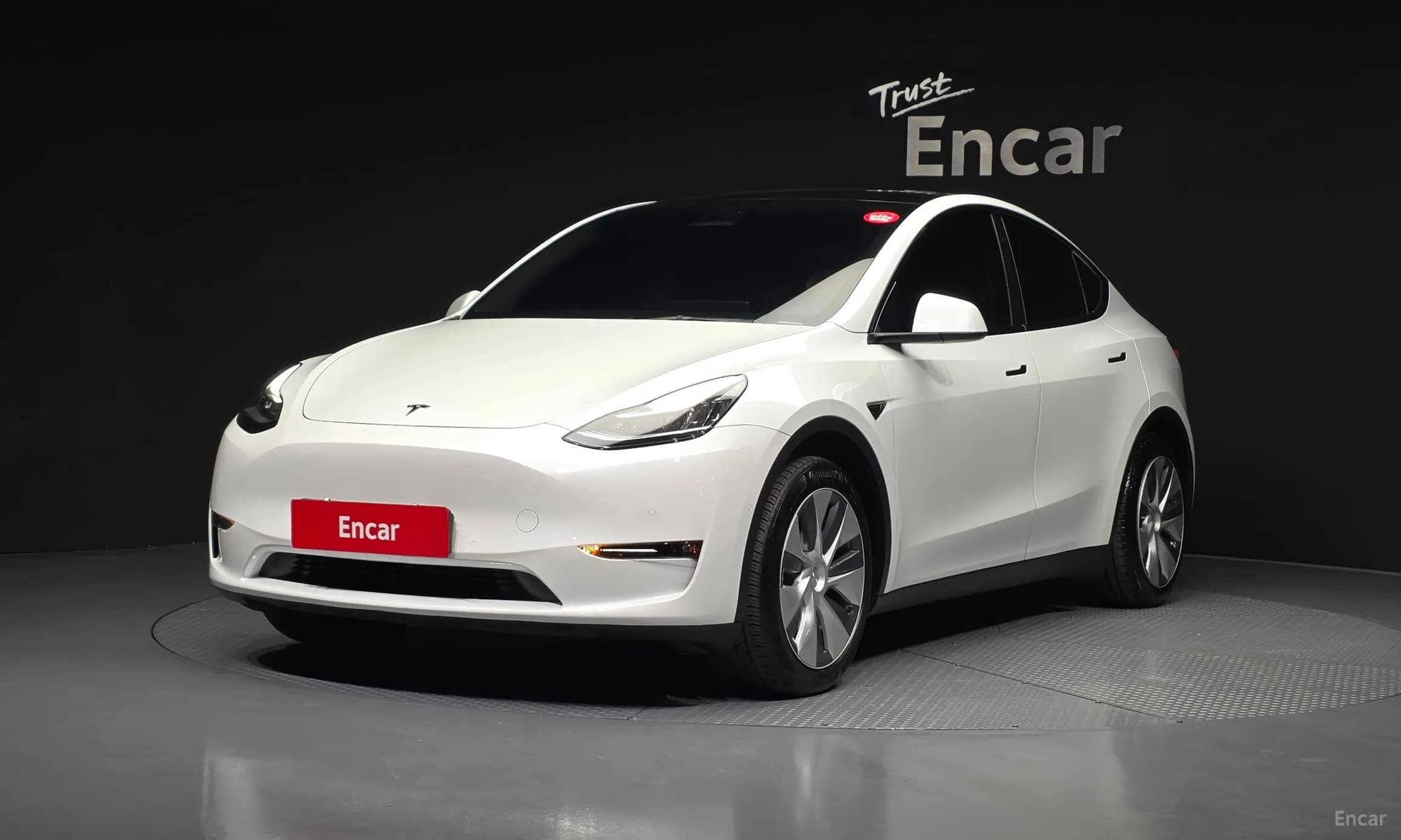 Model Y