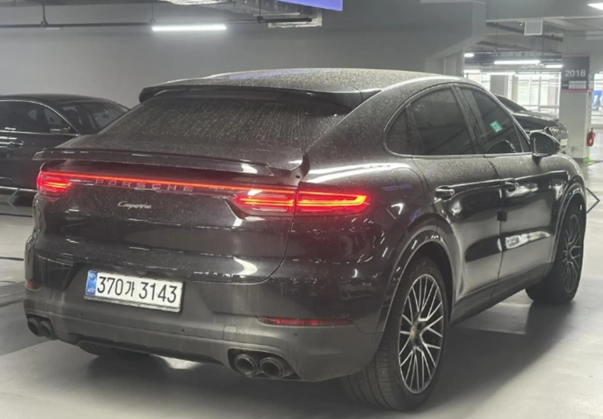 Cayenne (PO536)