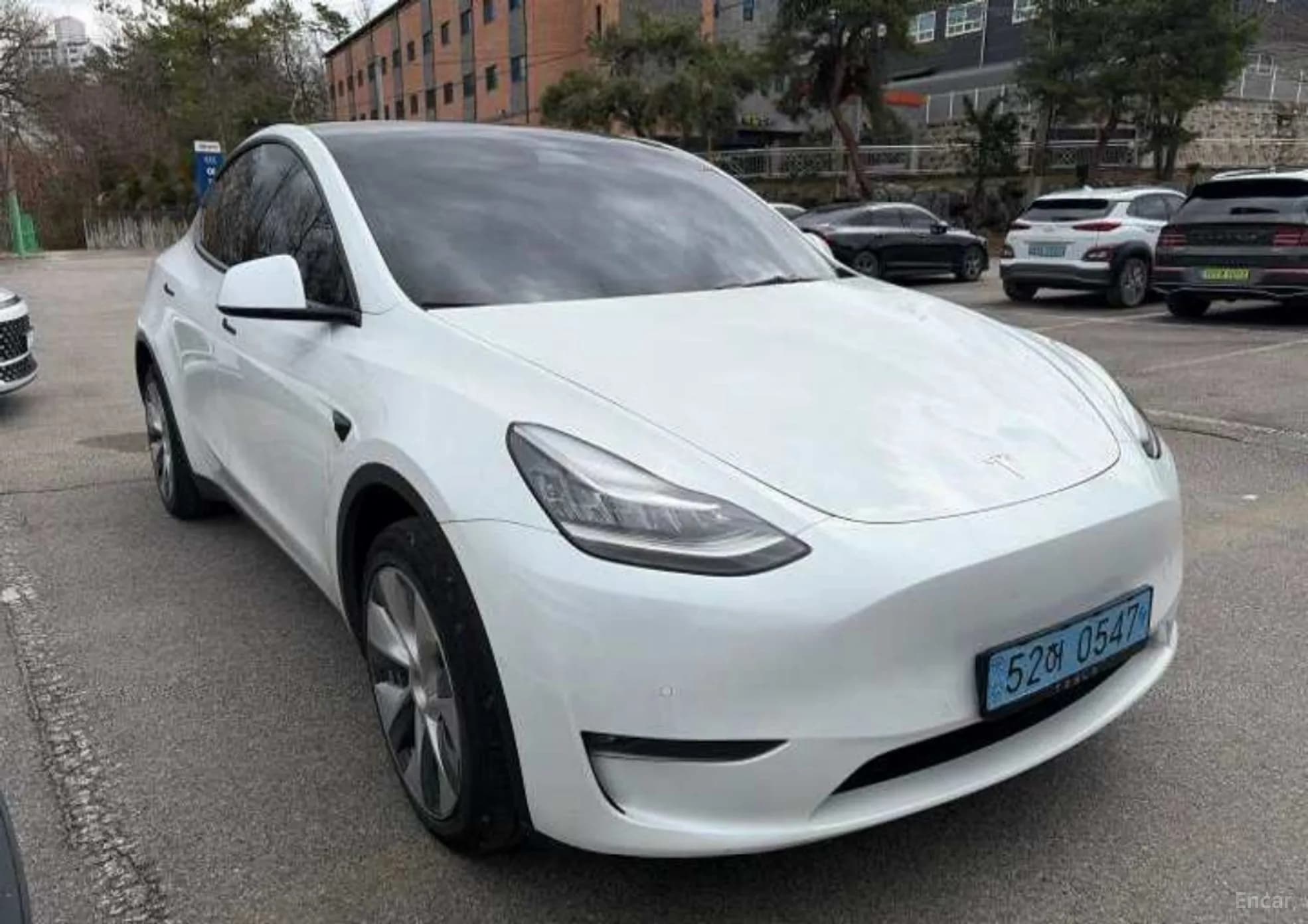 Model Y