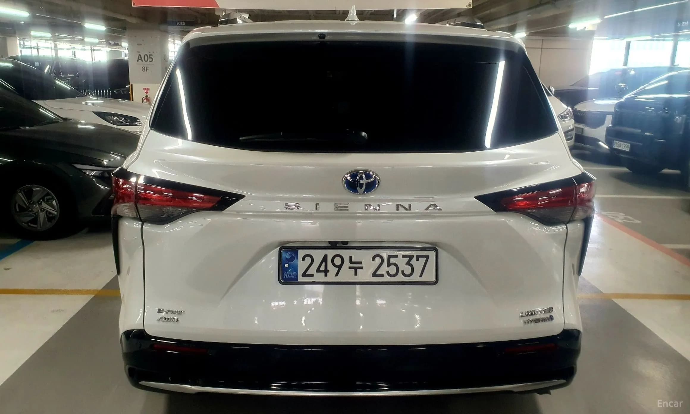 Siena 4th generation