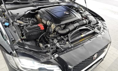 XF (x260)