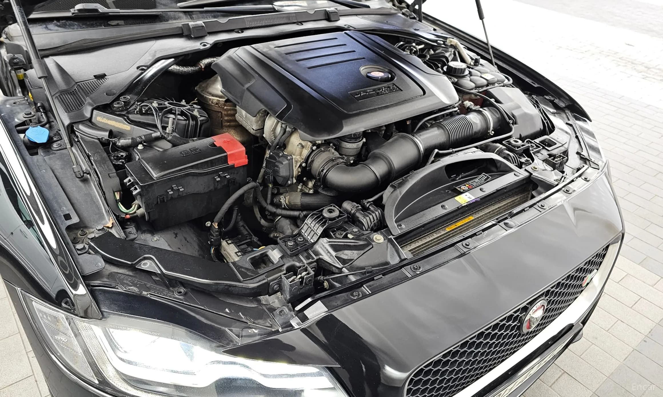 XF (x260)
