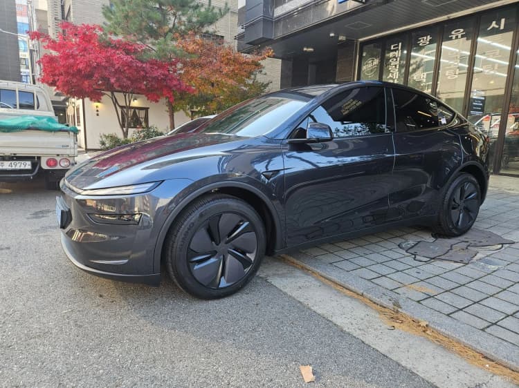Model Y