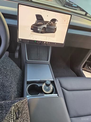 Model Y