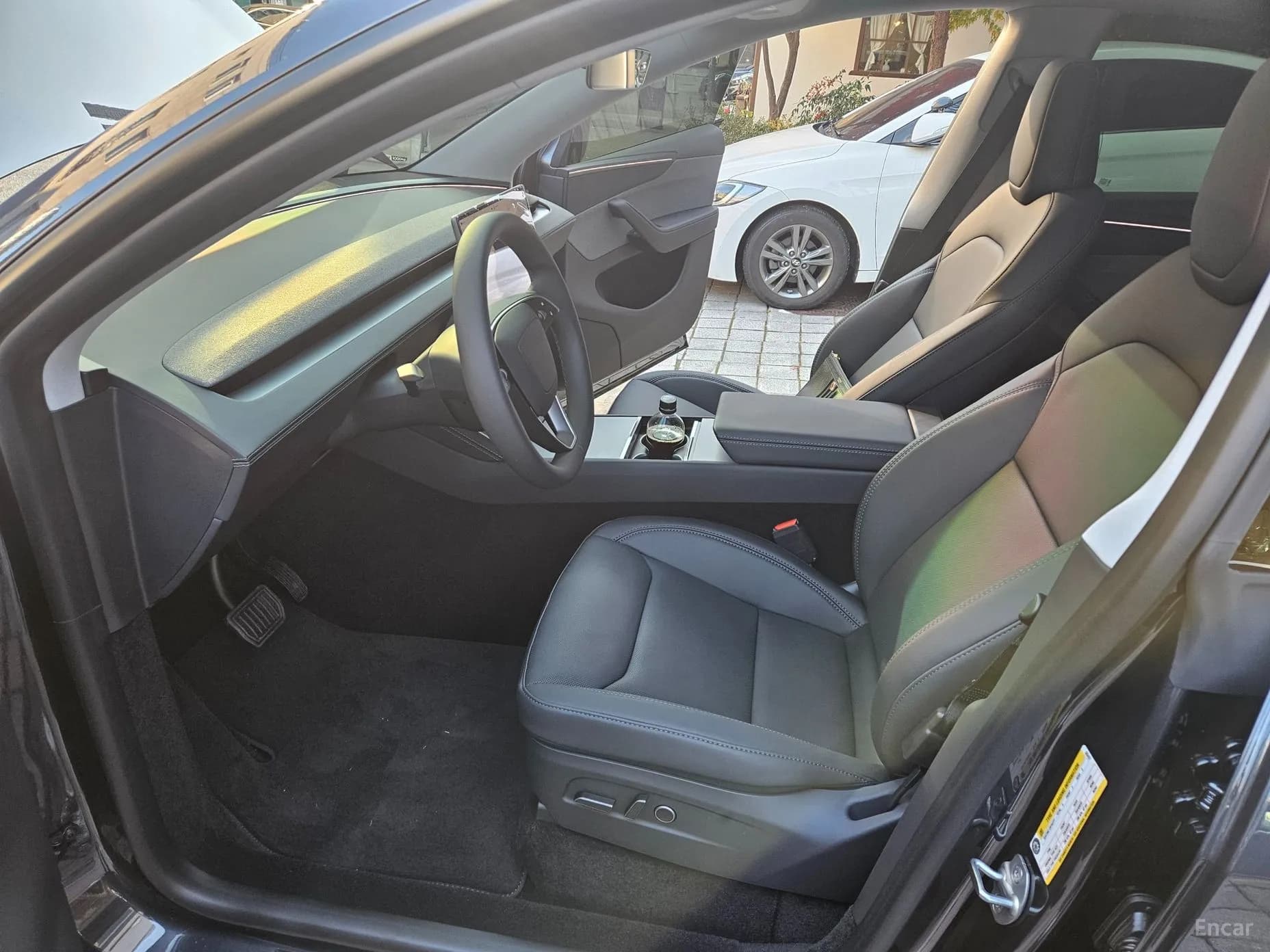 Model Y
