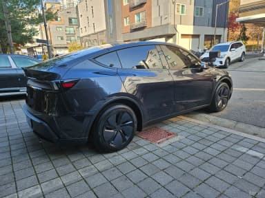 Model Y