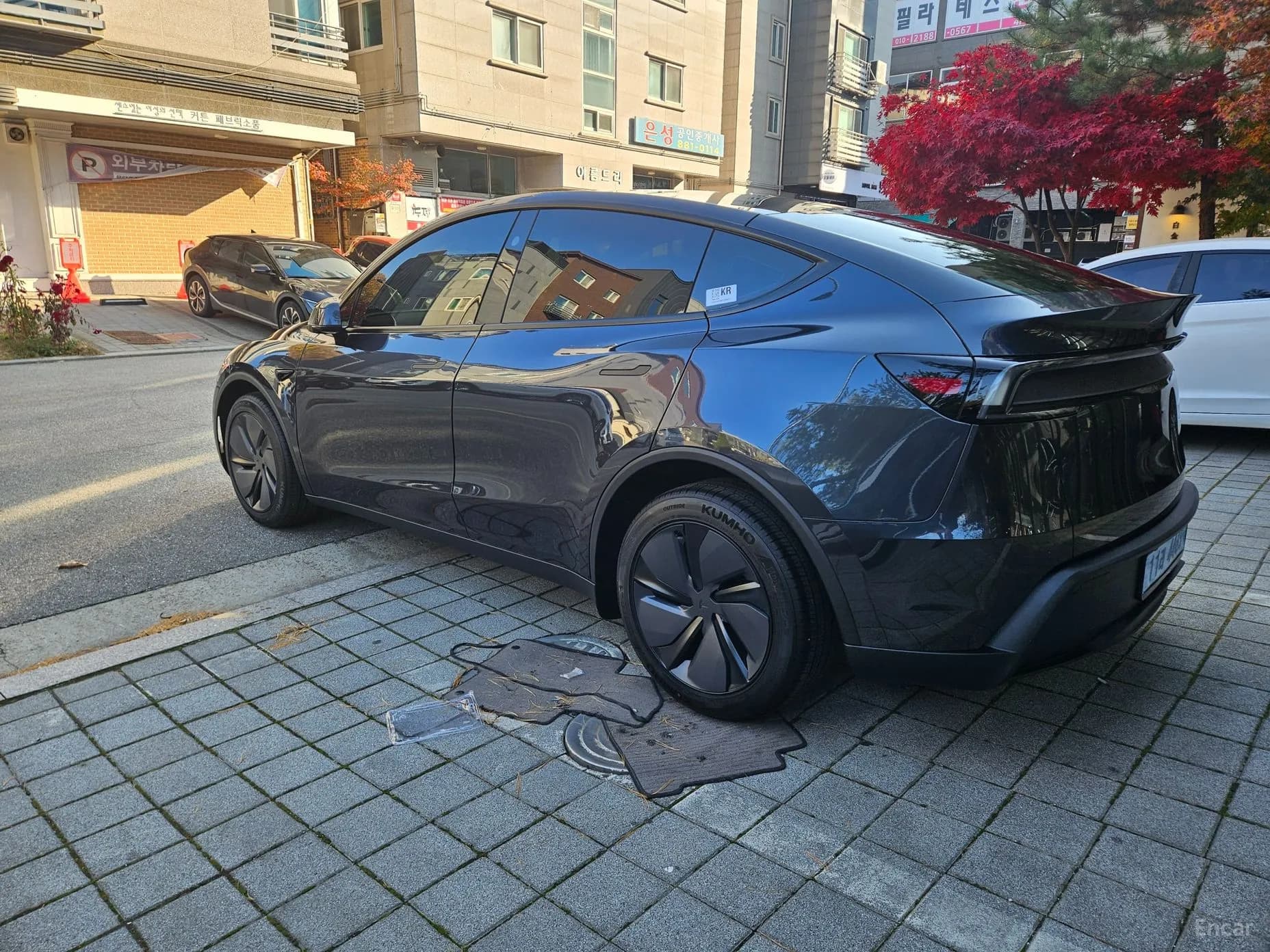 Model Y