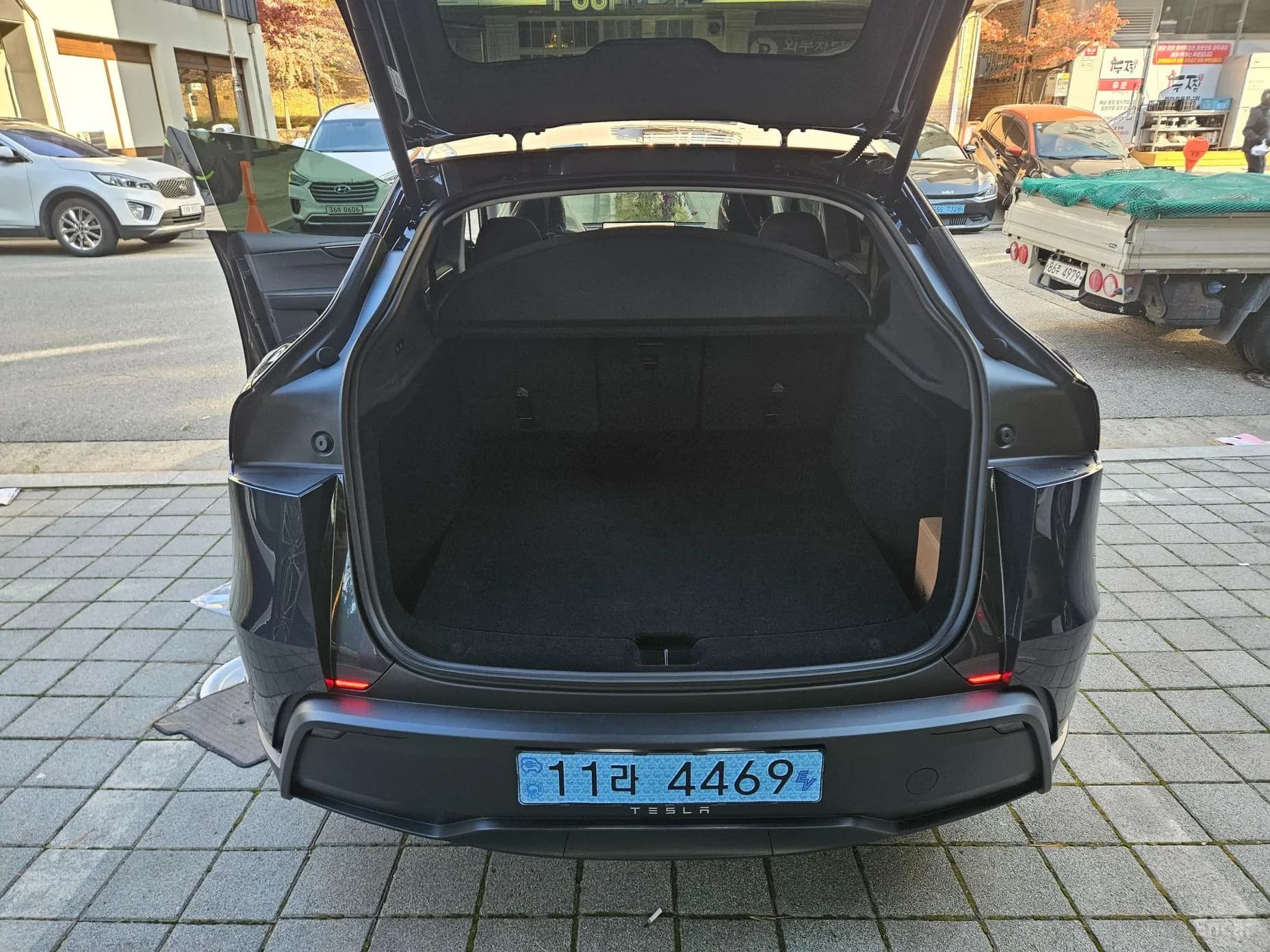 Model Y