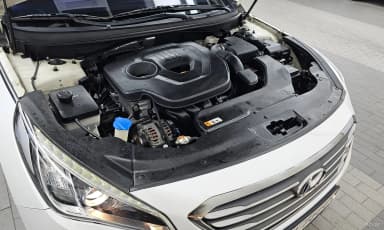 LF Sonata