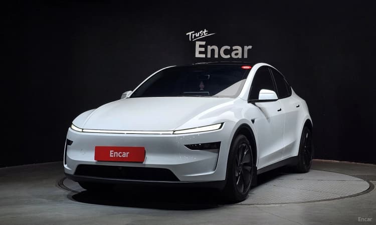 Model Y