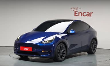 Model Y