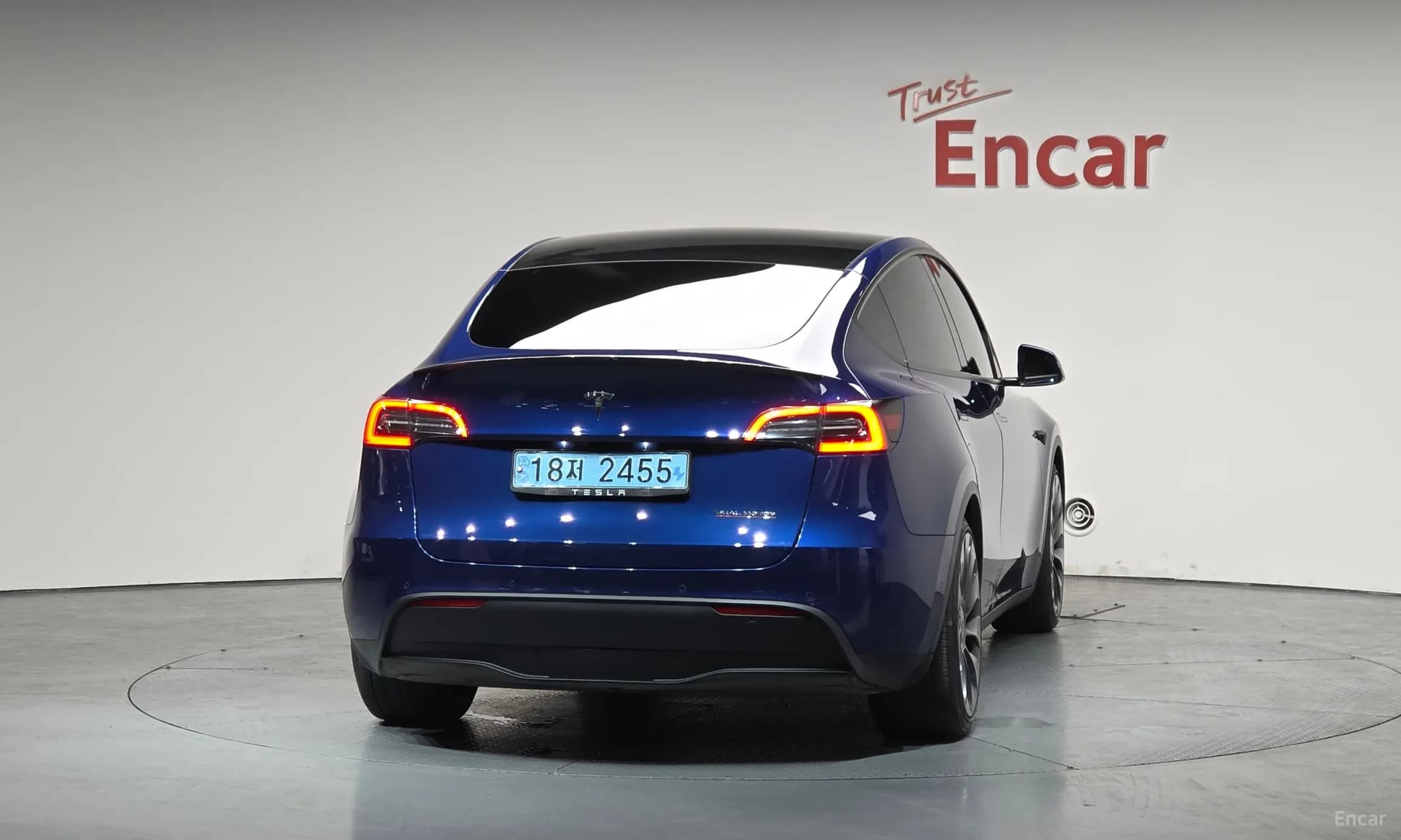 Model Y