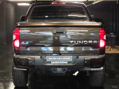 tundra