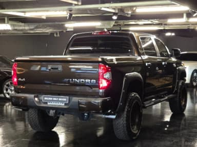 tundra