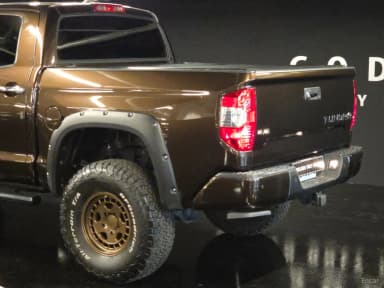 tundra