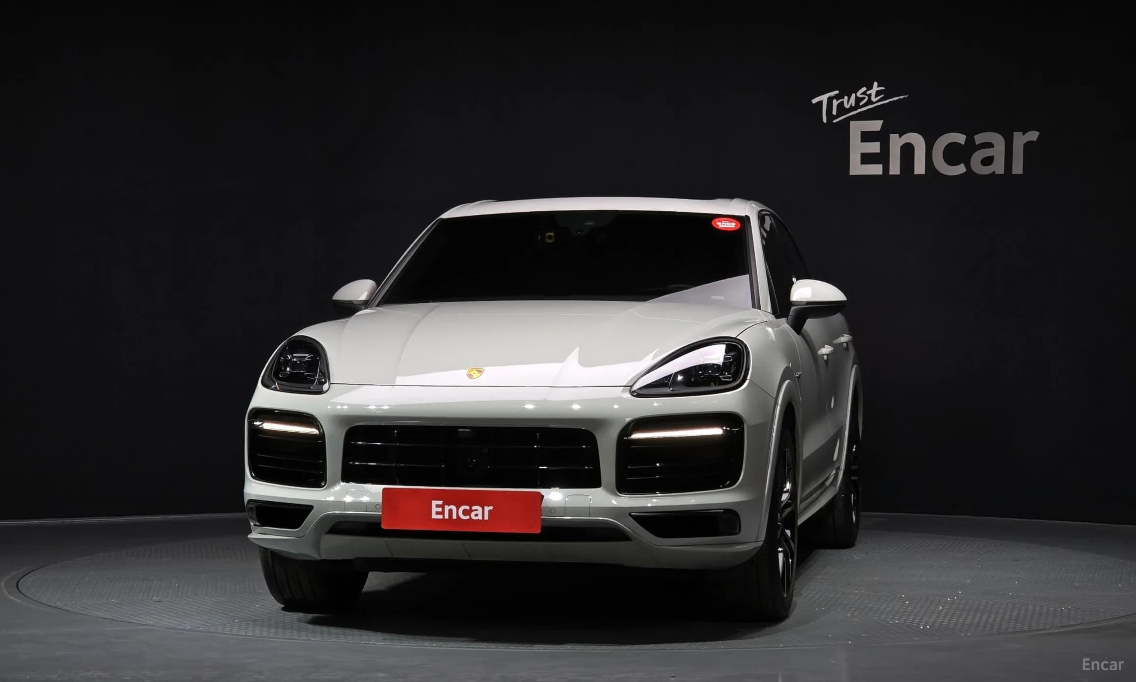 Cayenne (PO536)