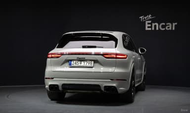 Cayenne (PO536)