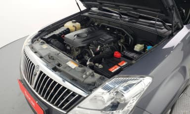 Rexton W