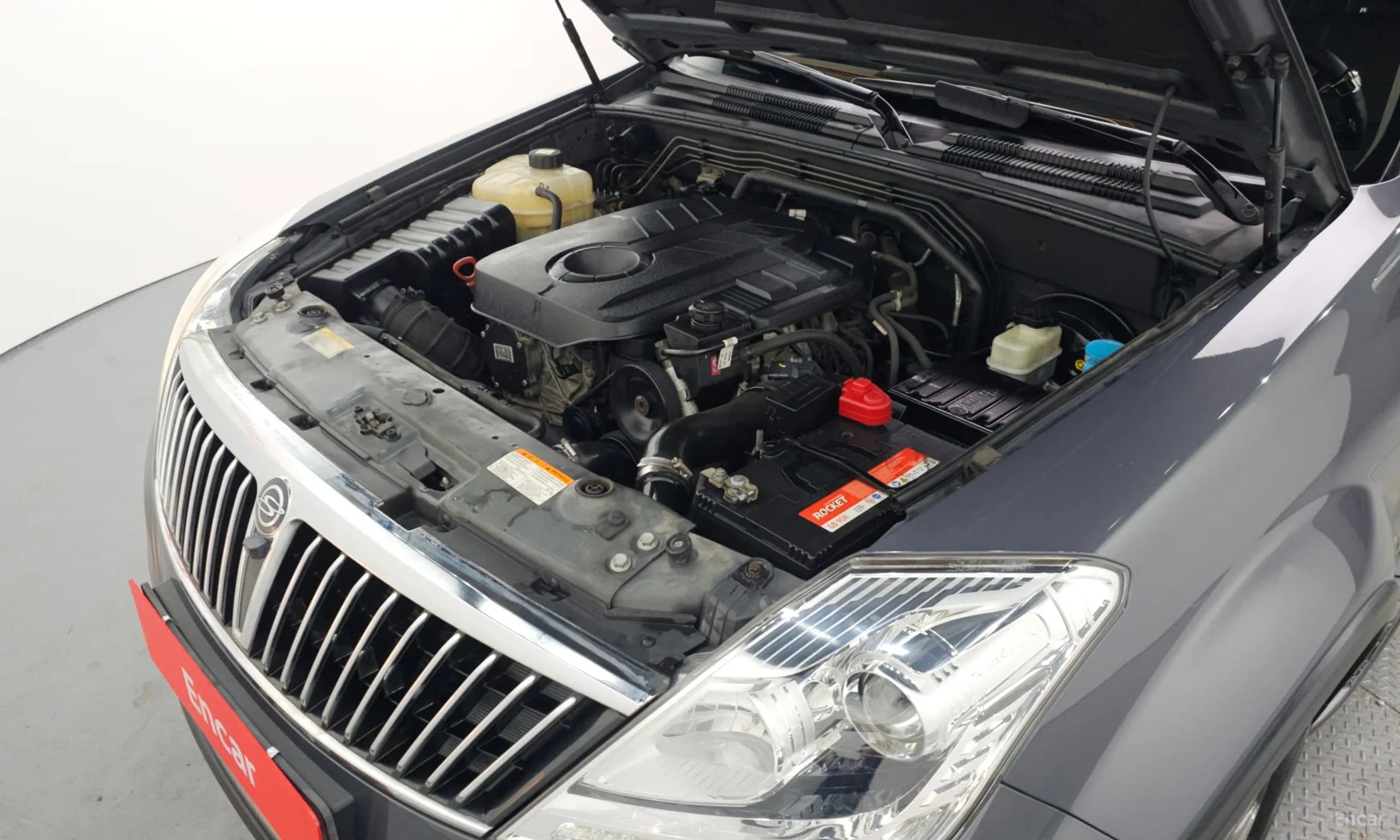 Rexton W