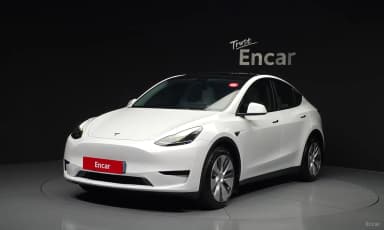 Model Y