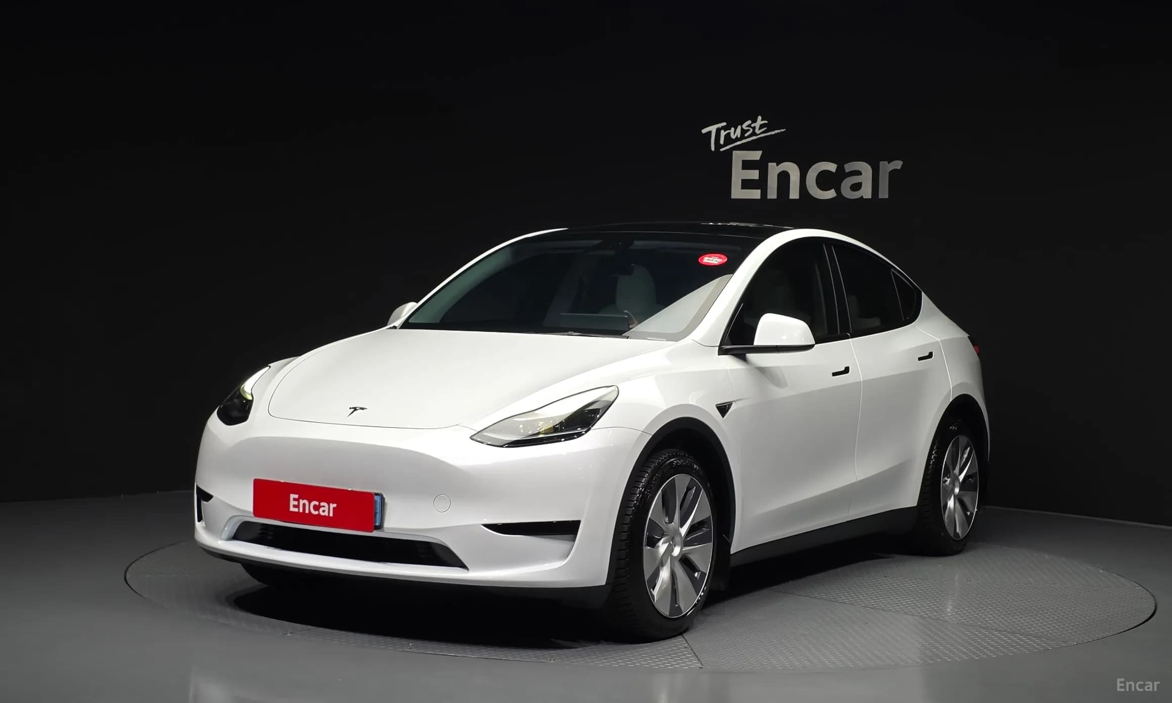 Model Y