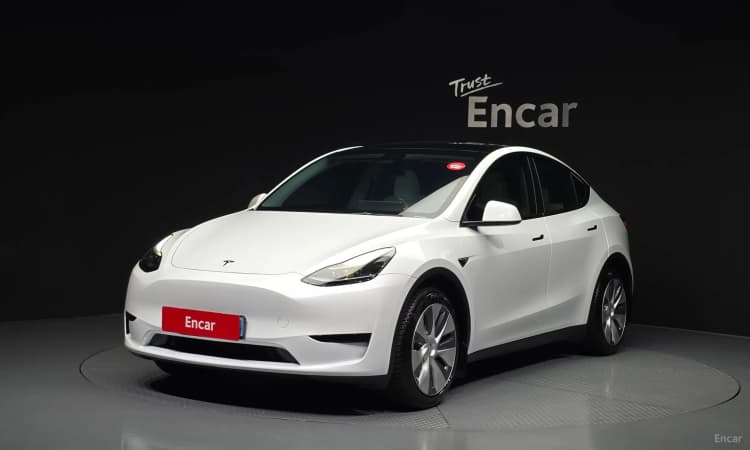 Model Y