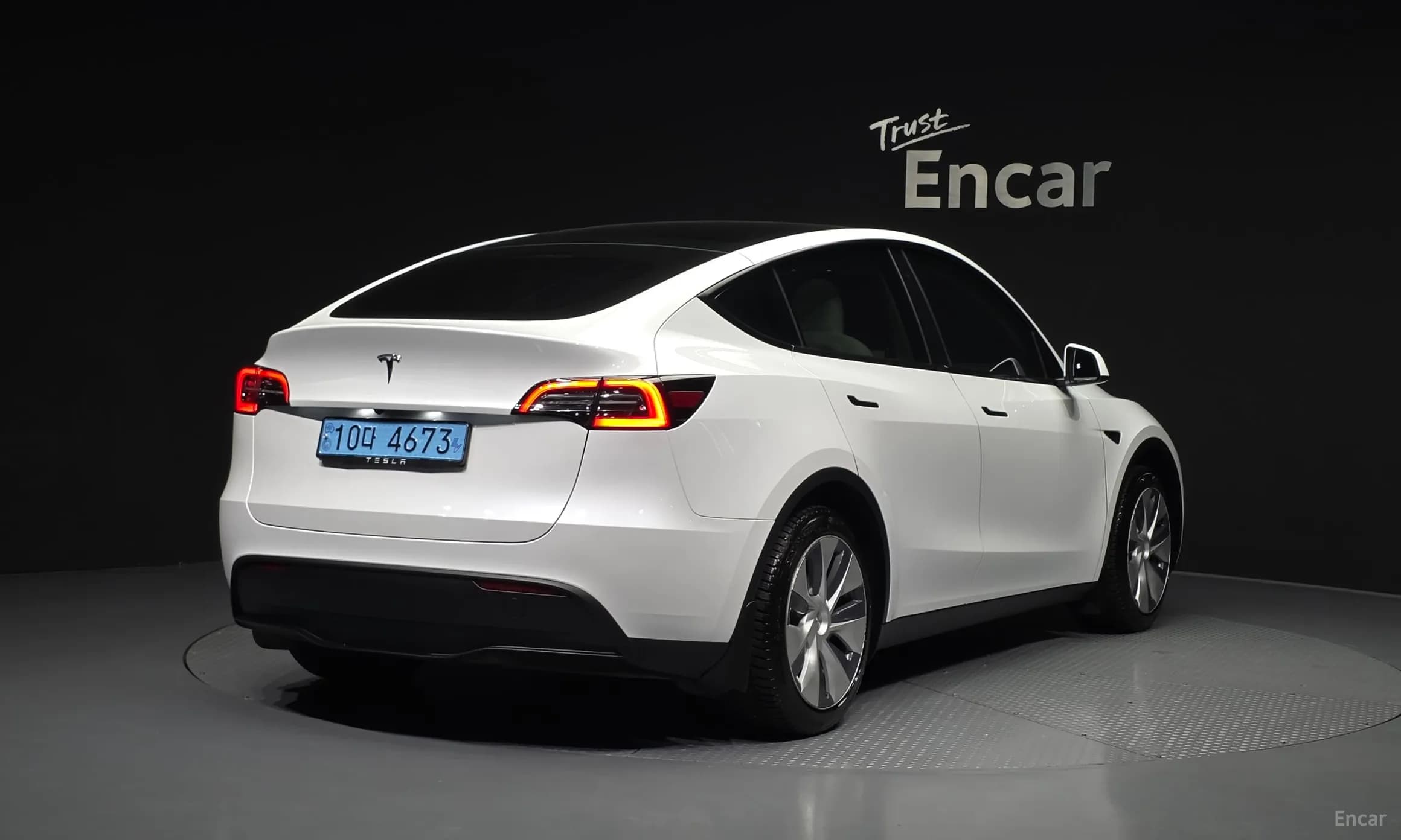 Model Y