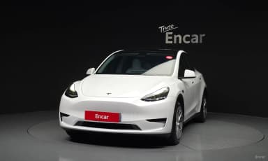 Model Y