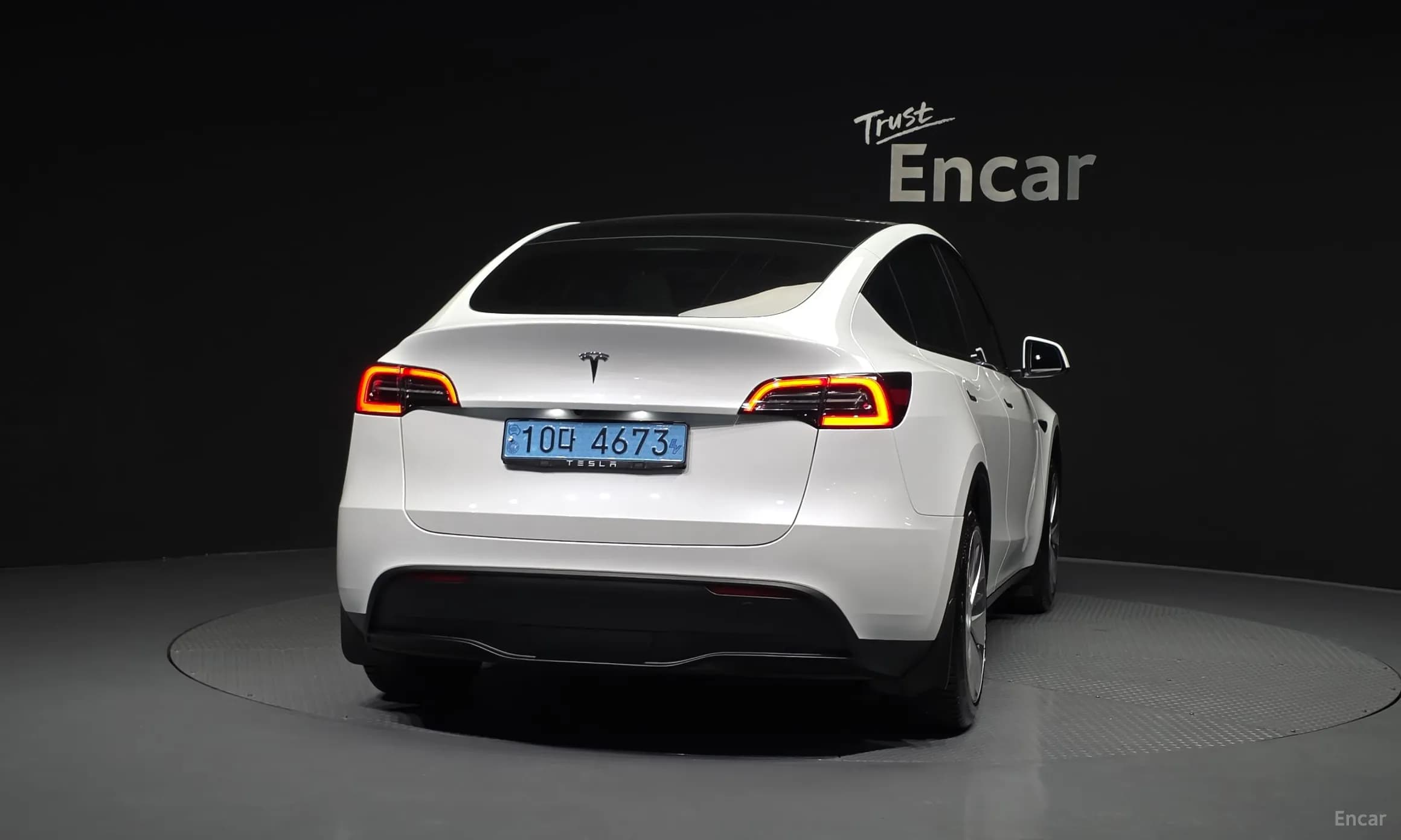 Model Y
