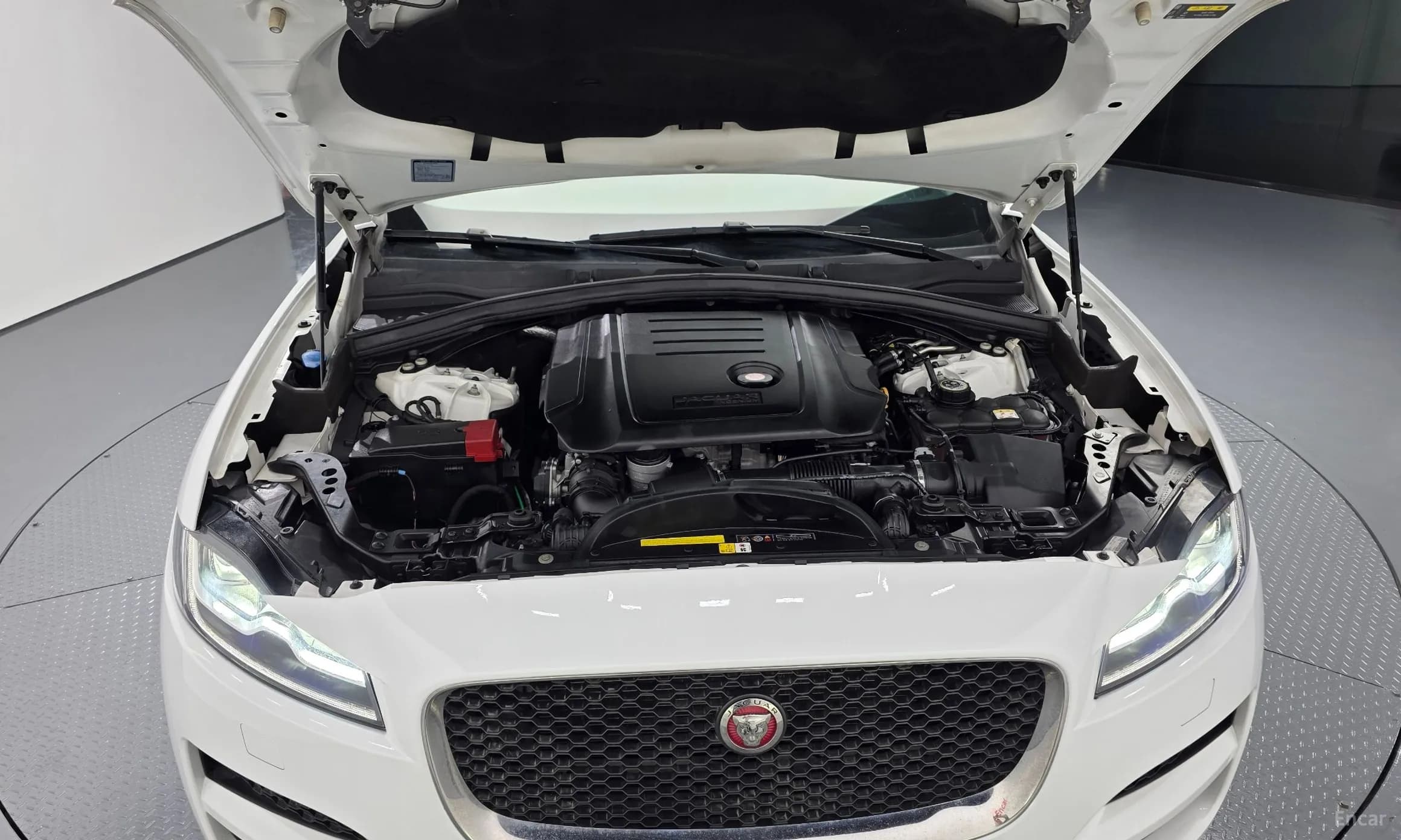 F-PACE