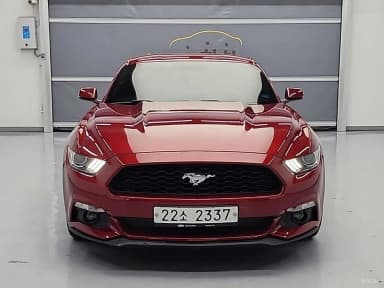 Mustang