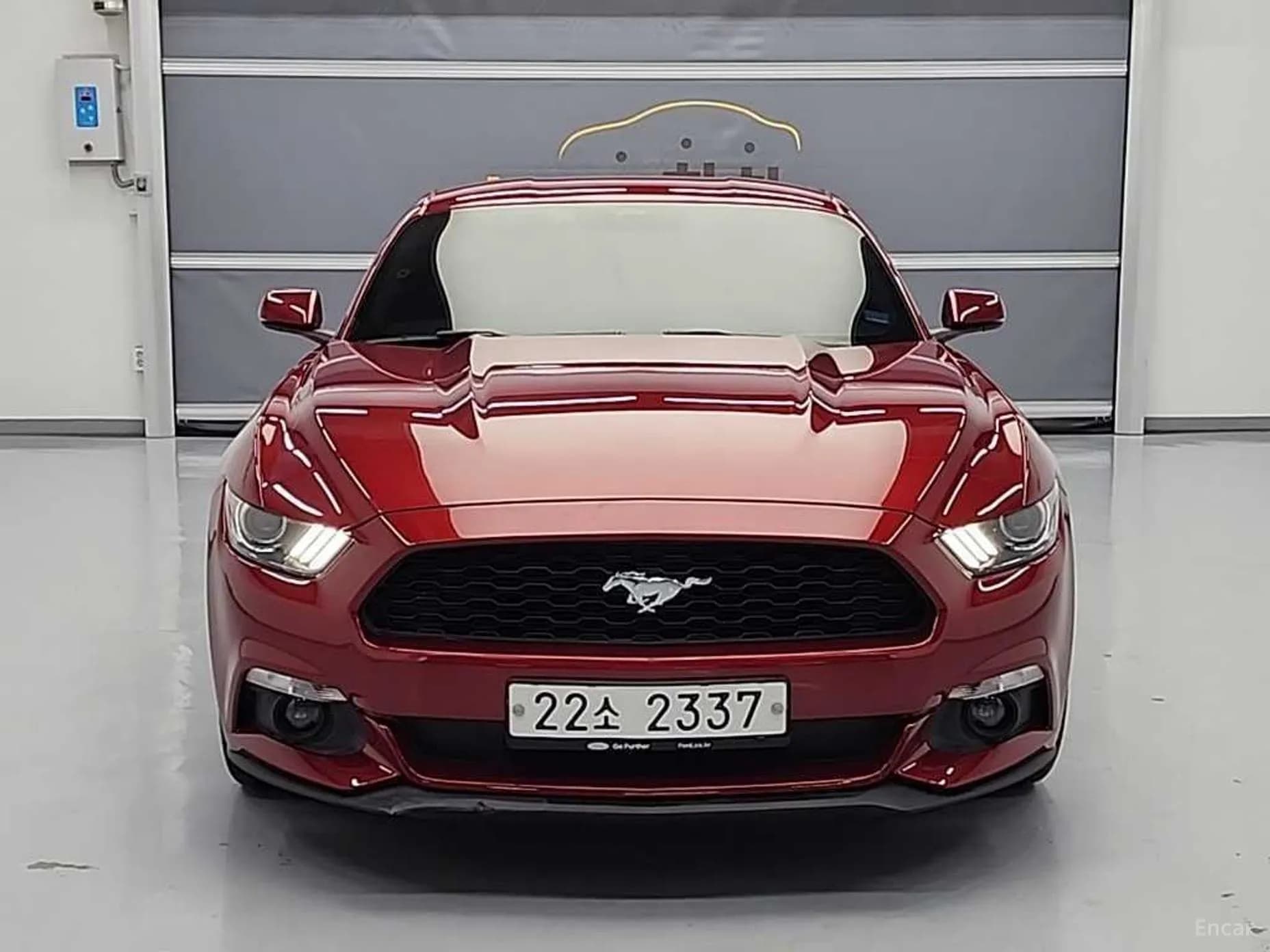 Mustang