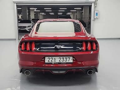 Mustang