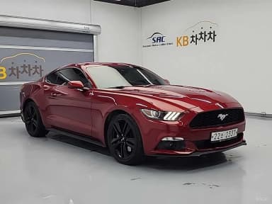 Mustang