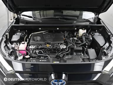 RAV4 5th Generation
