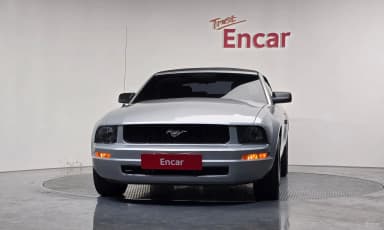 Mustang