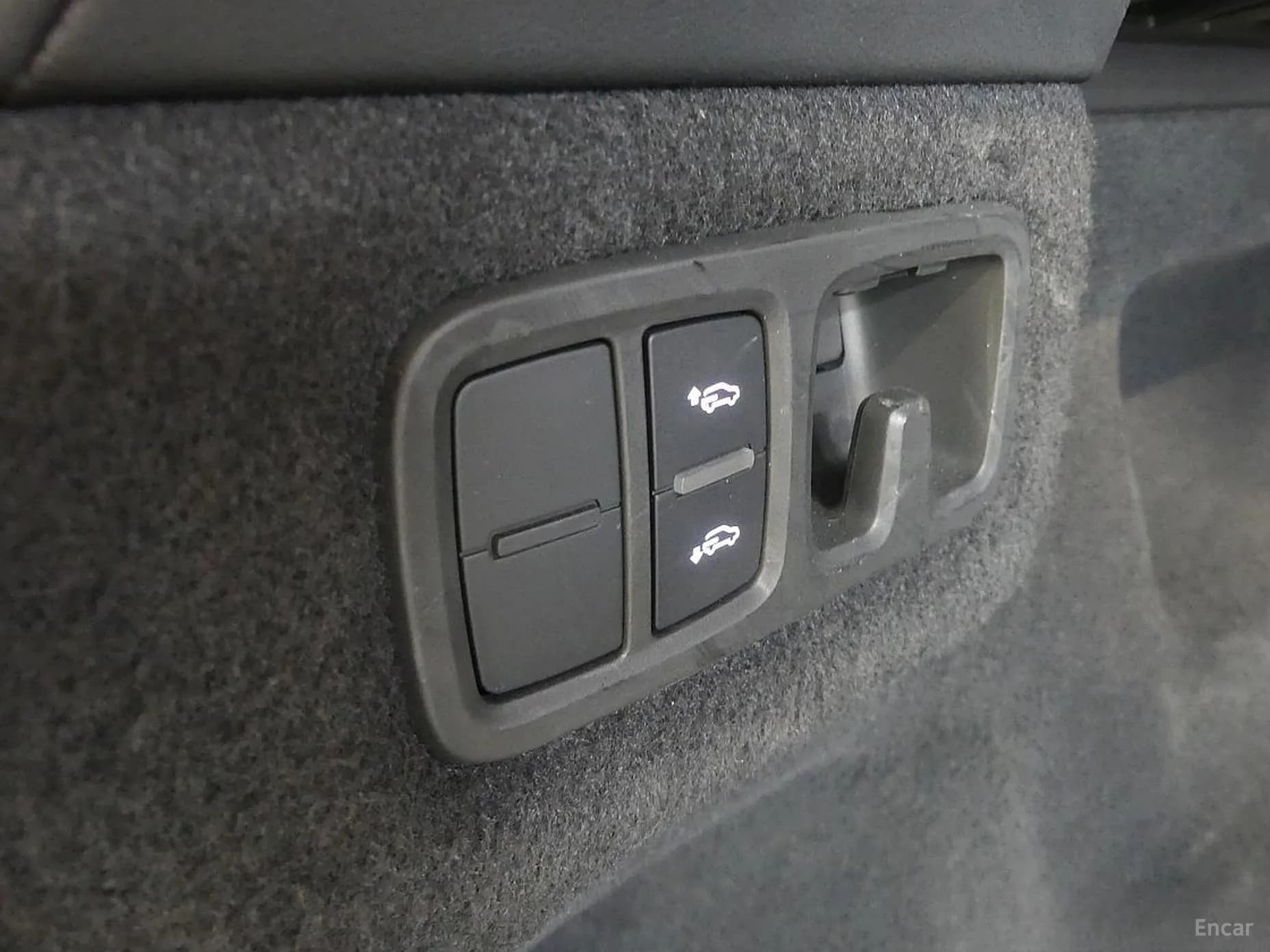 Urus
