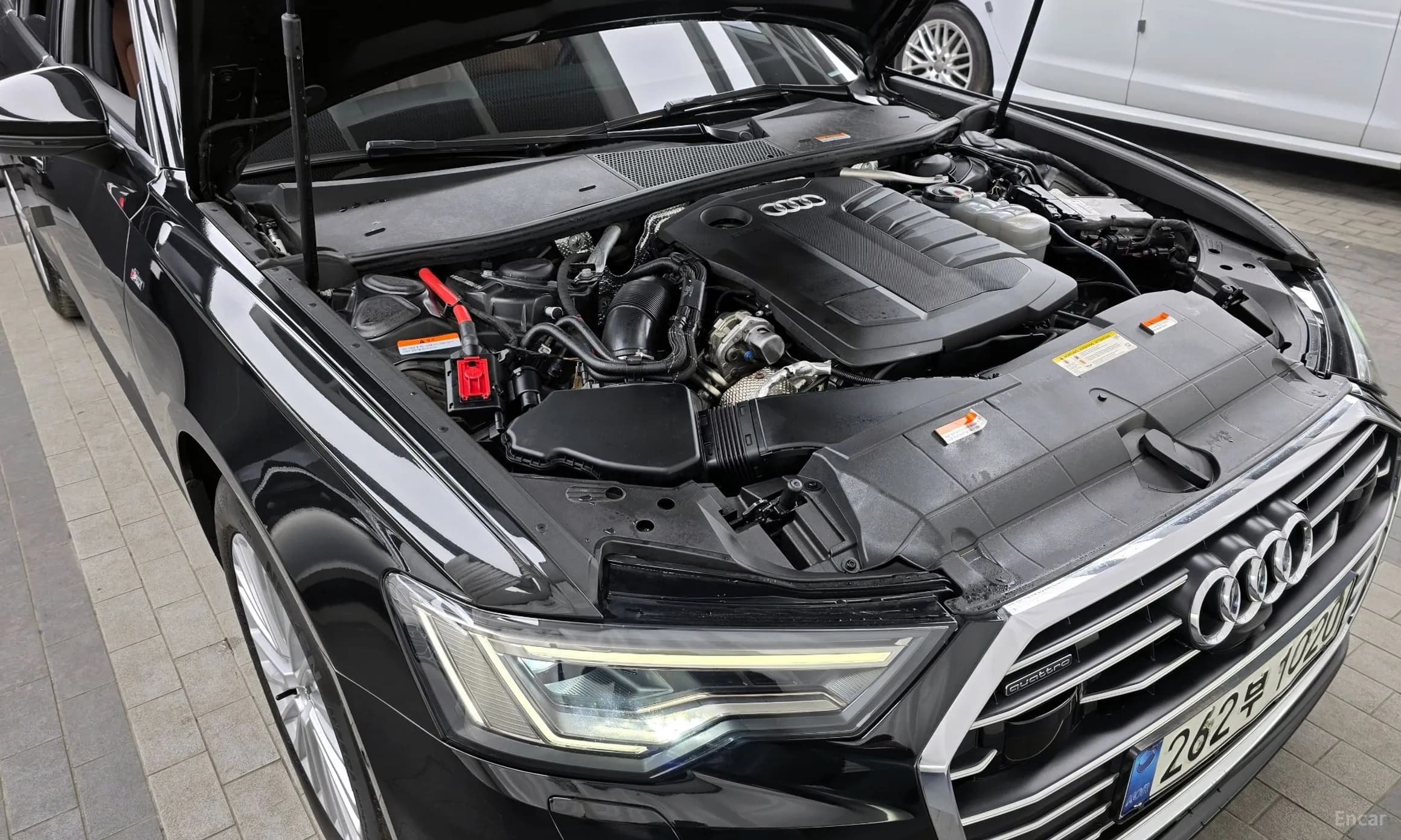 A6 (C8)