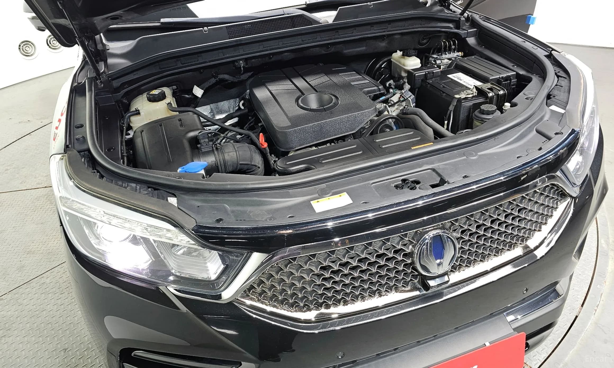 G4 Rexton