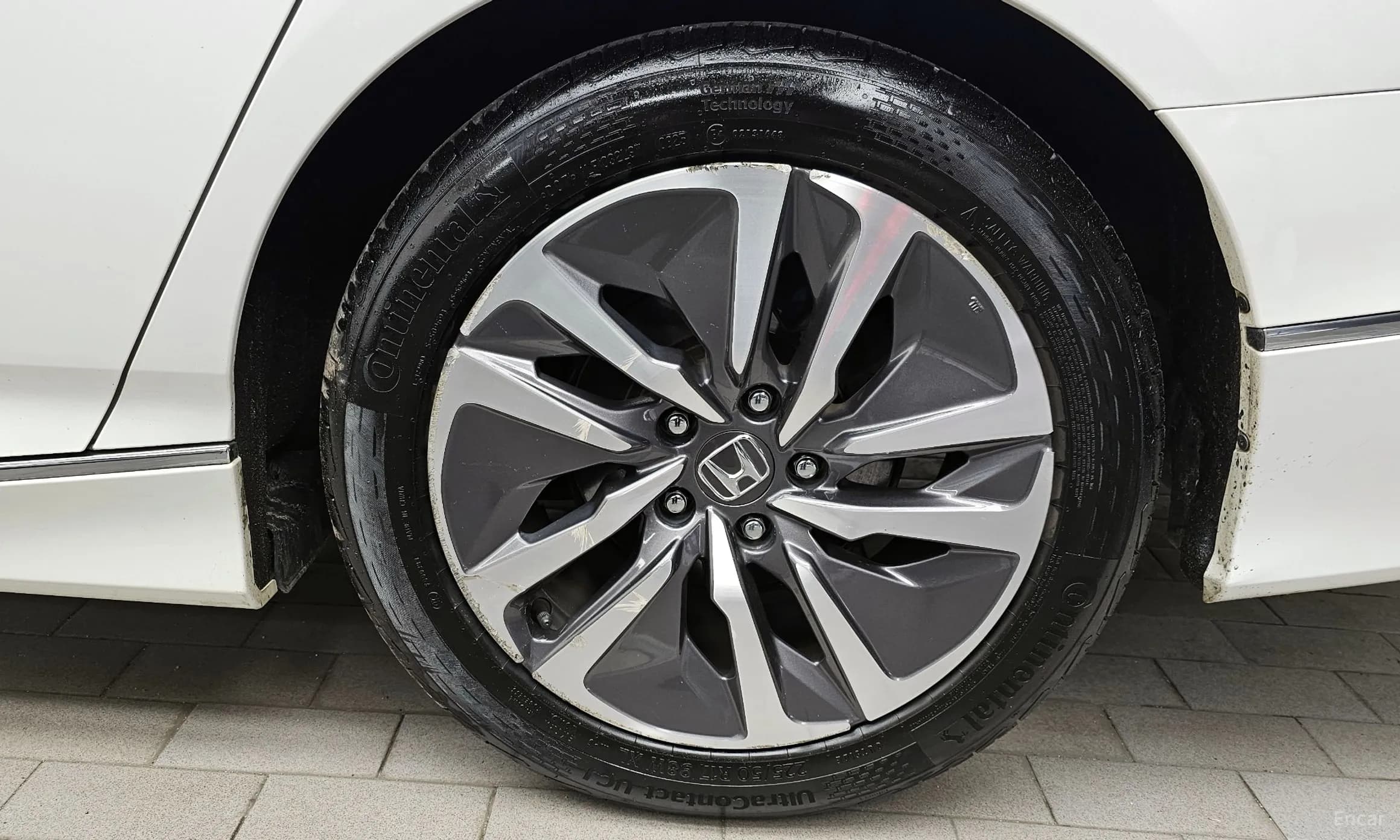 Accord 10th Generation